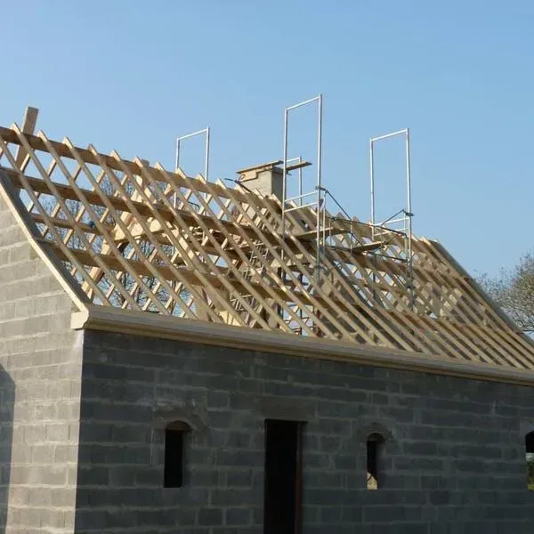 réalisation charpente (1)